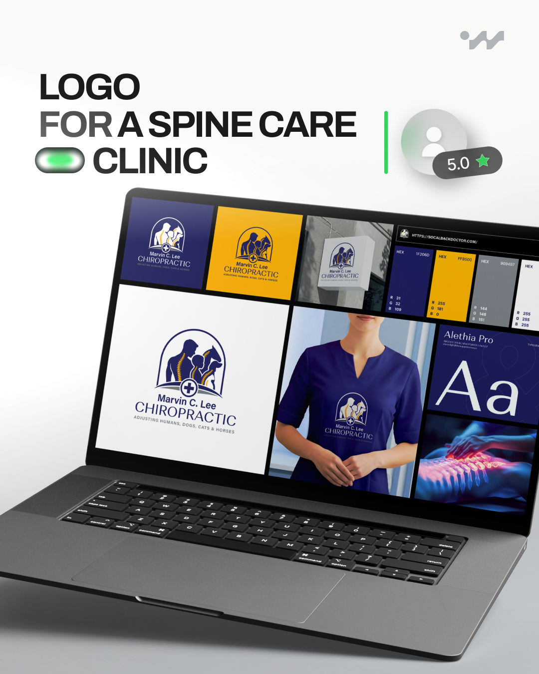 Marvin C. Lee Chiropractic project preview